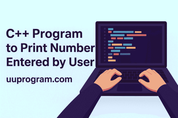 Print Number Entered by User